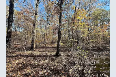 0 T Tarpey Lane, Sanford, NC 27330 - Photo 13