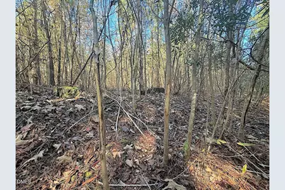 0 T Tarpey Lane, Sanford, NC 27330 - Photo 33