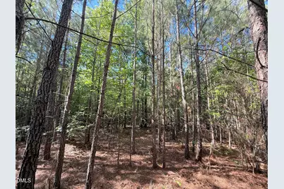 0 T Tarpey Lane, Sanford, NC 27330 - Photo 21