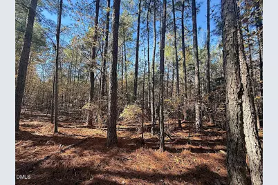 0 T Tarpey Lane, Sanford, NC 27330 - Photo 35