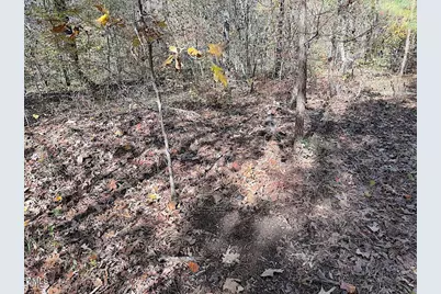 0 T Tarpey Lane, Sanford, NC 27330 - Photo 41