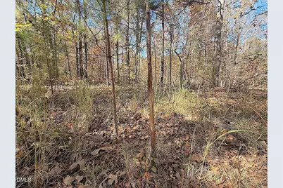 0 T Tarpey Lane, Sanford, NC 27330 - Photo 37