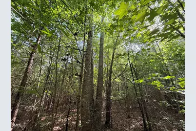 0 T Tarpey Lane, Sanford, NC 27330 - Photo 29