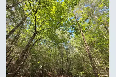 0 T Tarpey Lane, Sanford, NC 27330 - Photo 7