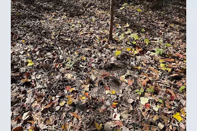 0 T Tarpey Lane, Sanford, NC 27330 - Photo 39