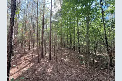 0 T Tarpey Lane, Sanford, NC 27330 - Photo 9