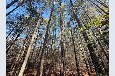 0 T Tarpey Lane, Sanford, NC 27330 - Photo 27