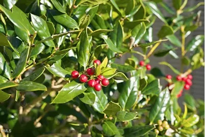 759 Putney Hill Road, Zebulon, NC 27597 - Photo 35