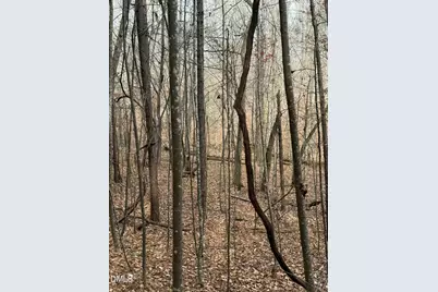 0 Tommie Daniel Road, Oxford, NC 27565 - Photo 51