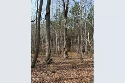 0 Tommie Daniel Road, Oxford, NC 27565 - Photo 69