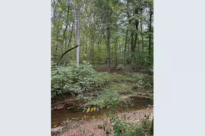 0 Tommie Daniel Road, Oxford, NC 27565 - Photo 29