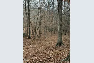 0 Tommie Daniel Road, Oxford, NC 27565 - Photo 59