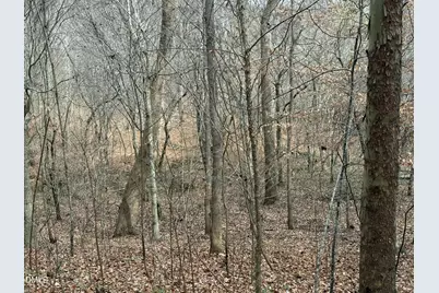 0 Tommie Daniel Road, Oxford, NC 27565 - Photo 49