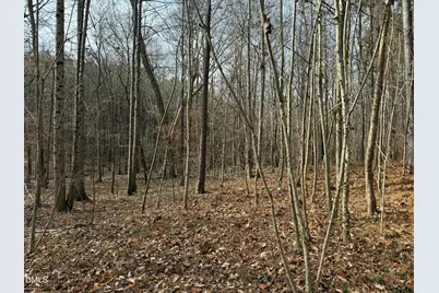 0 Tommie Daniel Road, Oxford, NC 27565 - Photo 73