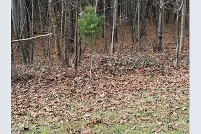 0 Tommie Daniel Road, Oxford, NC 27565 - Photo 21