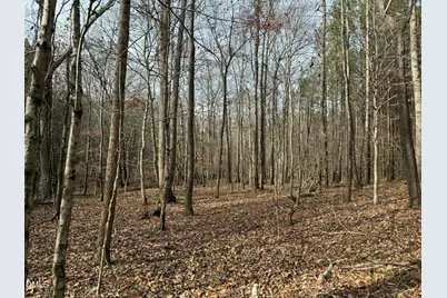 0 Tommie Daniel Road, Oxford, NC 27565 - Photo 75