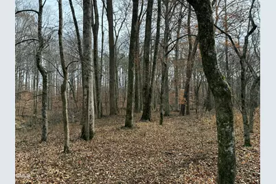 0 Tommie Daniel Road, Oxford, NC 27565 - Photo 65