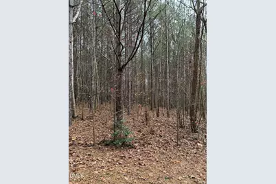 0 Tommie Daniel Road, Oxford, NC 27565 - Photo 23