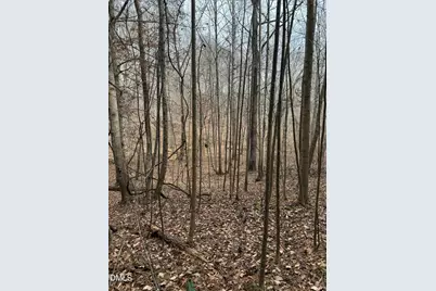 0 Tommie Daniel Road, Oxford, NC 27565 - Photo 47