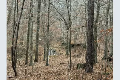 0 Tommie Daniel Road, Oxford, NC 27565 - Photo 57