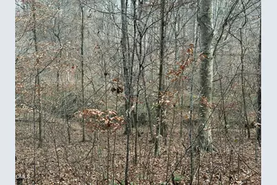 0 Tommie Daniel Road, Oxford, NC 27565 - Photo 55