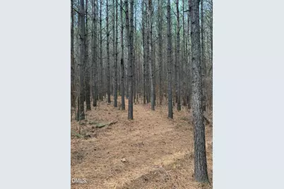 0 Tommie Daniel Road, Oxford, NC 27565 - Photo 45