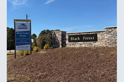 18 Cedar Run Court, Benson, NC 27504 - Photo 25