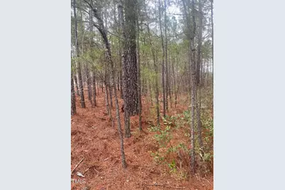 0 Bumpy Lane, Sanford, NC 27332 - Photo 3