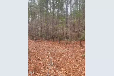 0 Bumpy Lane, Sanford, NC 27332 - Photo 5