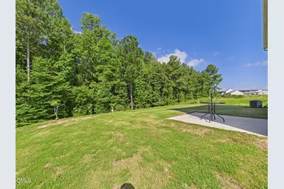 110 Symmetry Loop, Youngsville, NC 27596 - Photo 71