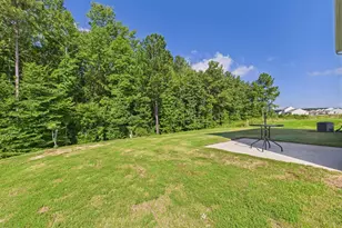 110 Symmetry Loop, Youngsville, NC 27596 - Photo 71