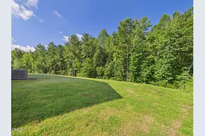 110 Symmetry Loop, Youngsville, NC 27596 - Photo 67