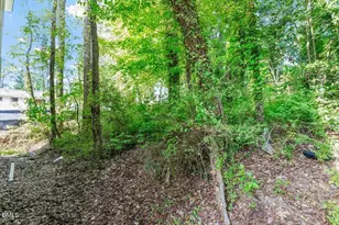 1408 South St, Durham, NC 27707 - Photo 5