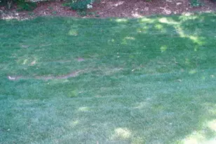 4507 Still Pines Dr, Raleigh, NC 27613 - Photo 27