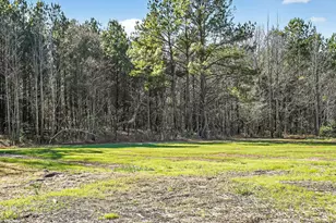 133 Sandy Plains Ln, Henderson, NC 27537 - Photo 7