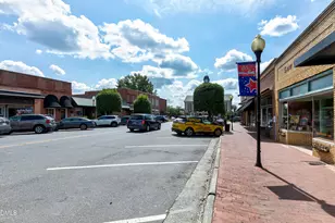 507 W Salisbury St, Pittsboro, NC 27312 - Photo 65