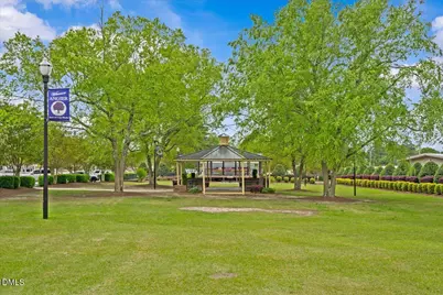 10 Amaryllis Lane #146, Angier, NC 27501 - Photo 25