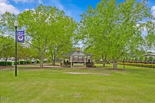 6 Amaryllis Ln, Angier, NC 27501 - Photo 25