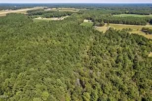 6515 Tonya Rd, Elm City, NC 27822 - Photo 45