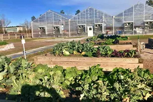 6142 Giddings St, Raleigh, NC 27616 - Photo 43