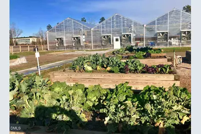 6142 Giddings Street, Raleigh, NC 27616 - Photo 47