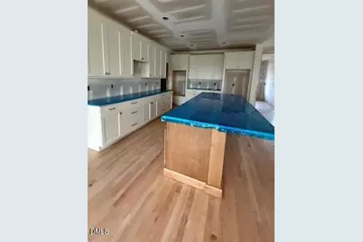 5545 Silk Hope Gum Springs Road, Siler City, NC 27344 - Photo 3