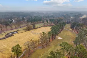 203 Piperwood Dr, Cary, NC 27518 - Photo 53