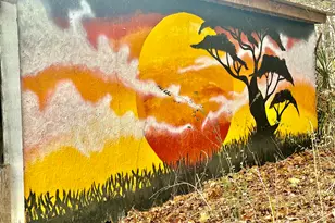 8245 Old Switchboard Rd, Snow Camp, NC 27349 - Photo 43