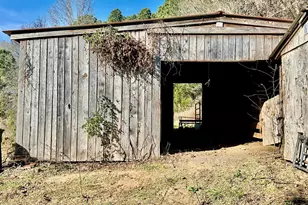 8245 Old Switchboard Rd, Snow Camp, NC 27349 - Photo 45