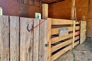 8245 Old Switchboard Rd, Snow Camp, NC 27349 - Photo 47