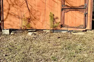 8245 Old Switchboard Rd, Snow Camp, NC 27349 - Photo 41