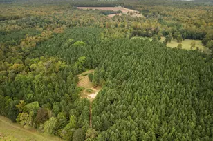 Lot 2 Wolf Tree Way, Efland, NC 27243 - Photo 21