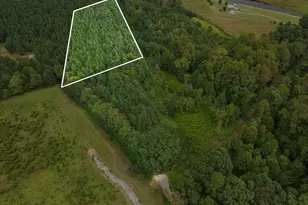 Lot 2 Wolf Tree Way, Efland, NC 27243 - Photo 17