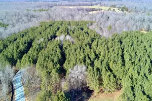 Lot 2 Wolf Tree Way, Efland, NC 27243 - Photo 21